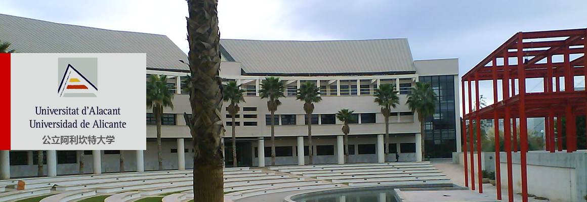 公立阿利坎特大学