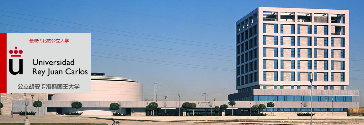 公立胡安卡洛斯国王大学