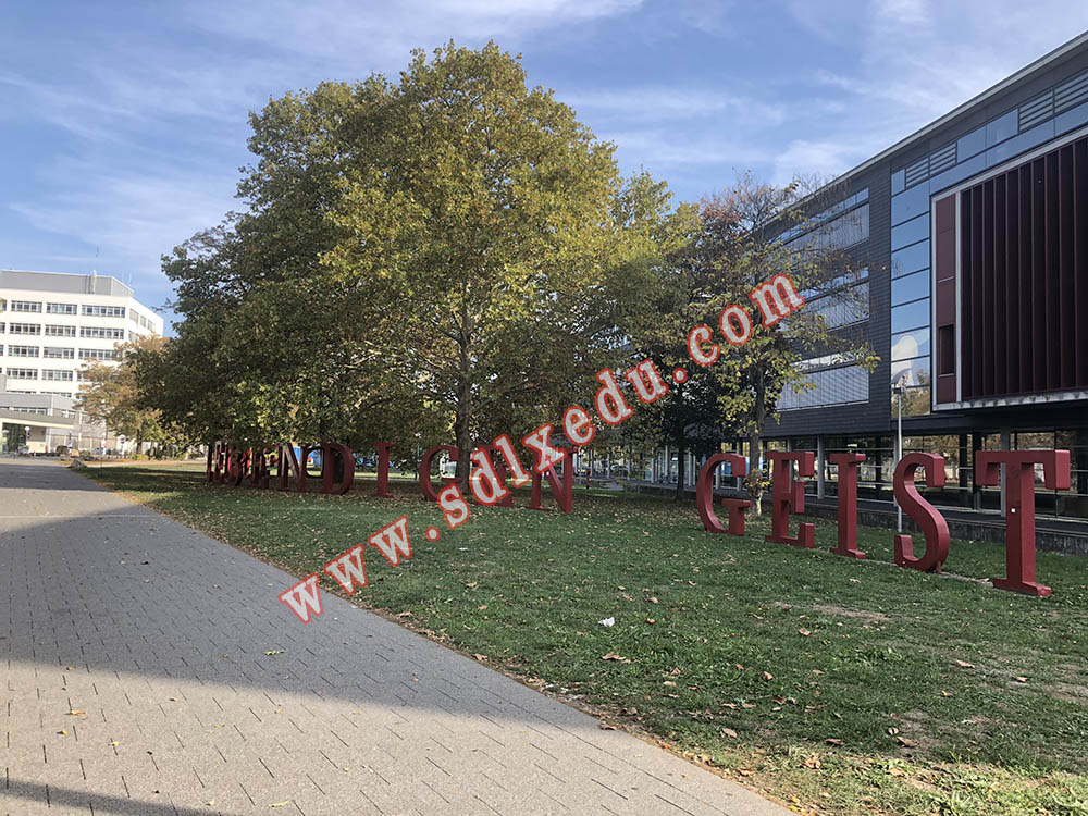 海德堡大学2019