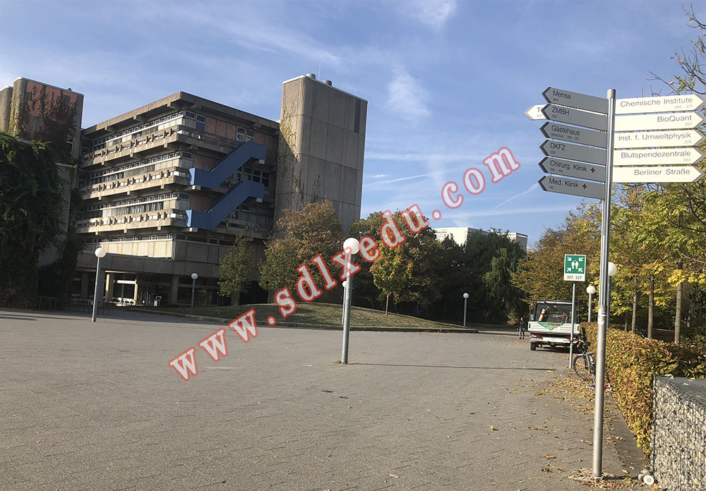 海德堡大学2019