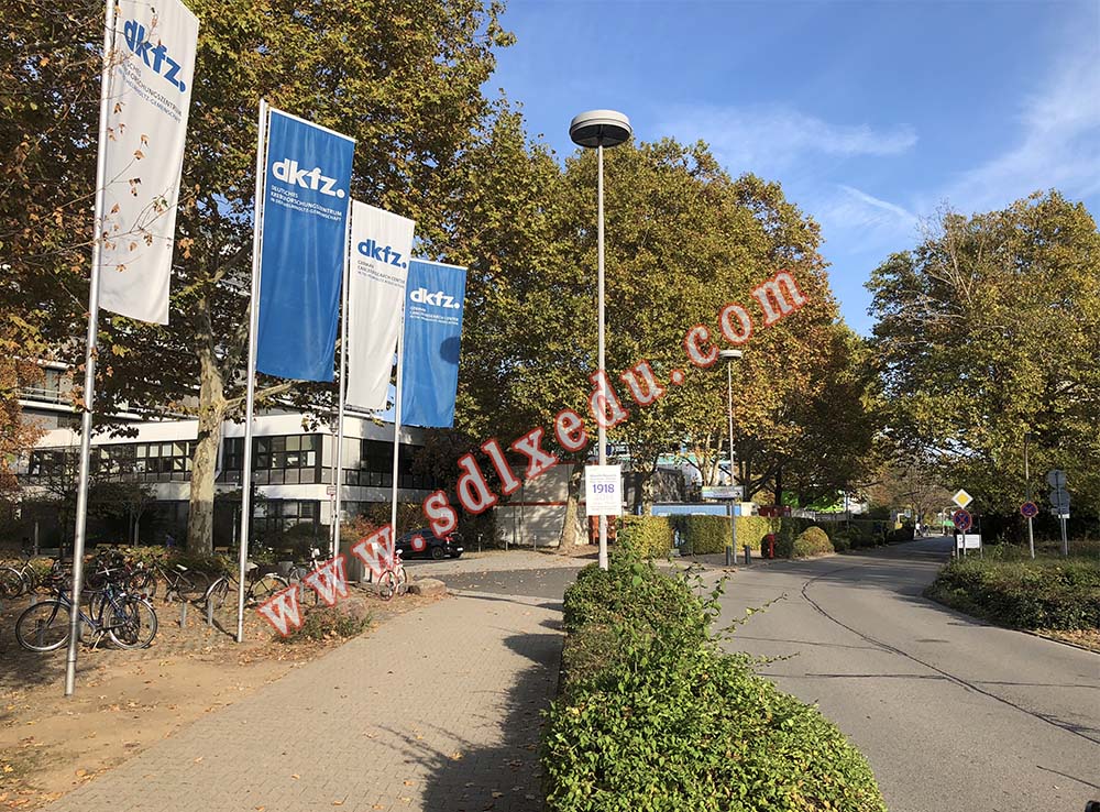 海德堡大学2019