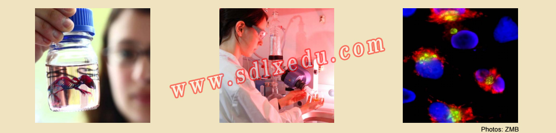 2019德国留学杜伊斯堡-埃森大学